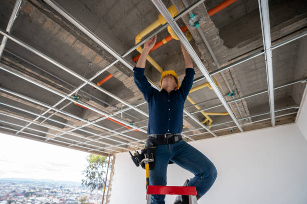 Best Best Plumbers Near Me  in Dillingham, AK
