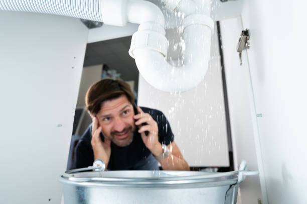 Best Shower Repair Services  in Dillingham, AK