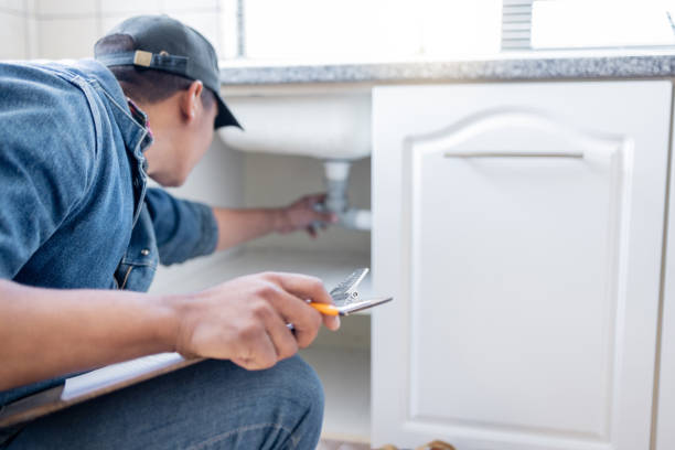 Best Plumbing Services Near Me  in Dillingham, AK