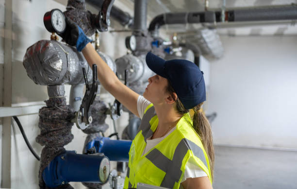 Best Local Plumber Services  in Dillingham, AK
