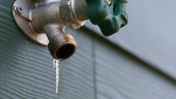  Dillingham, AK Plumbing Pros