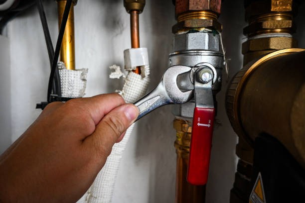 Best Commercial Plumbing Services  in Dillingham, AK